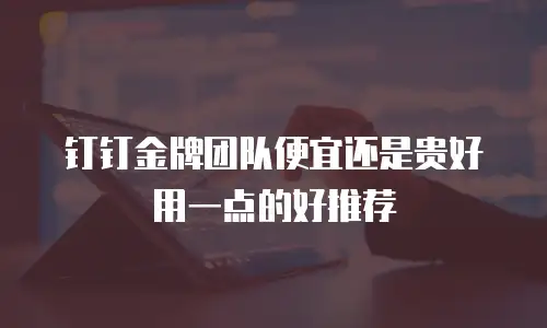 钉钉金牌团队便宜还是贵好用一点的好推荐