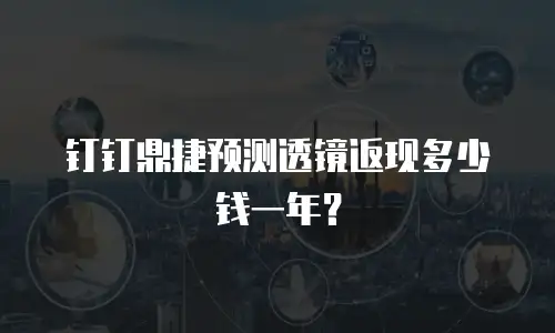 钉钉鼎捷预测透镜返现多少钱一年？