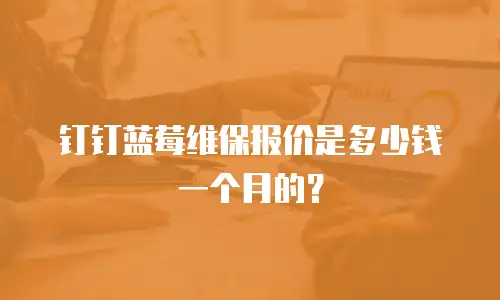 钉钉蓝莓维保报价是多少钱一个月的？