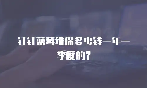 钉钉蓝莓维保多少钱一年一季度的？