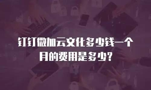 钉钉微加云文化多少钱一个月的费用是多少？