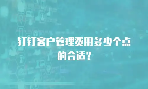 钉钉客户管理费用多少个点的合适？