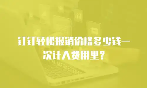 钉钉轻松报销价格多少钱一次计入费用里？
