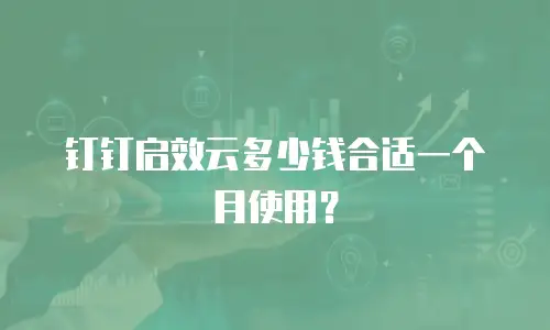 钉钉启效云多少钱合适一个月使用？