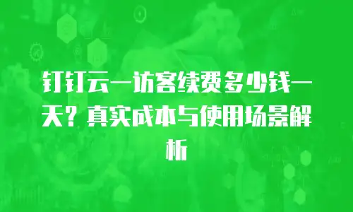 钉钉云一访客续费多少钱一天？真实成本与使用场景解析