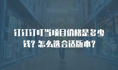 钉钉钉叮当项目价格是多少钱？怎么选合适版本？