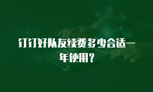 钉钉好队友续费多少合适一年使用？