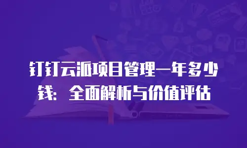 钉钉云派项目管理一年多少钱：全面解析与价值评估