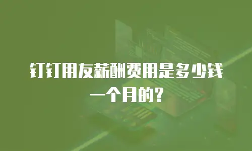 钉钉用友薪酬费用是多少钱一个月的？