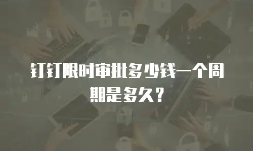 钉钉限时审批多少钱一个周期是多久？