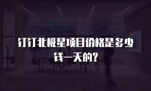 钉钉北极星项目价格是多少钱一天的？