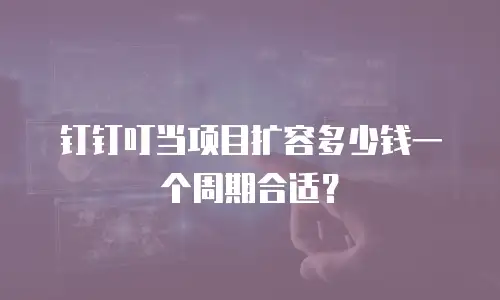 钉钉叮当项目扩容多少钱一个周期合适？