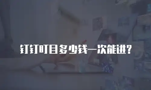钉钉盯目多少钱一次能进？