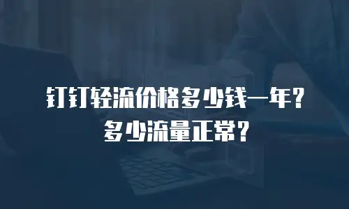 钉钉轻流价格多少钱一年？多少流量正常？