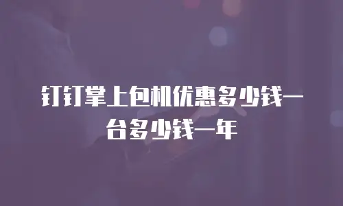钉钉掌上包机优惠多少钱一台多少钱一年