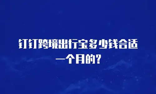 钉钉跨境出行宝多少钱合适一个月的？