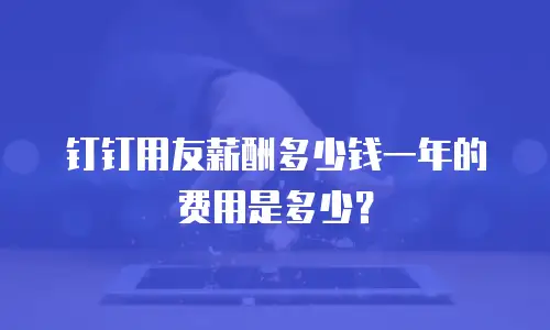 钉钉用友薪酬多少钱一年的费用是多少？