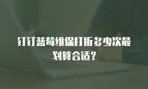 钉钉蓝莓维保打折多少次最划算合适？