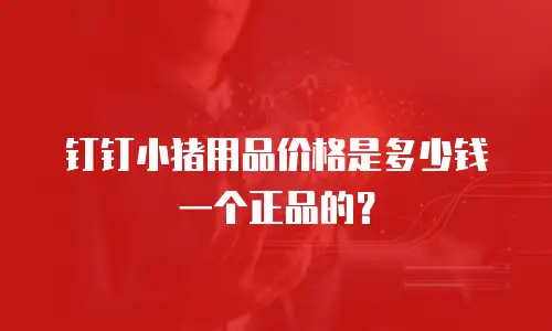 钉钉小猪用品价格是多少钱一个正品的？