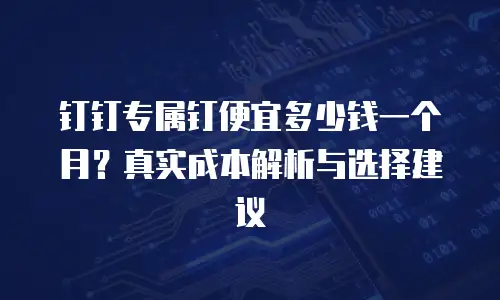 钉钉专属钉便宜多少钱一个月？真实成本解析与选择建议