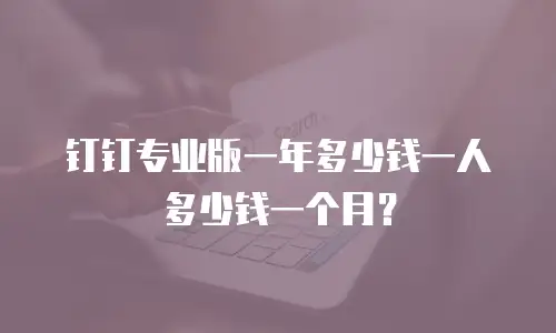 钉钉专业版一年多少钱一人多少钱一个月？