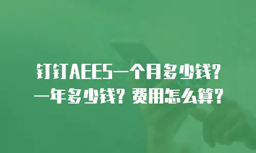 钉钉AEES一个月多少钱？一年多少钱？费用怎么算？