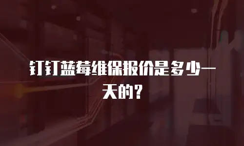 钉钉蓝莓维保报价是多少一天的？