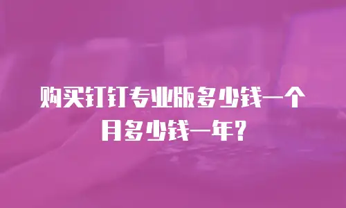 购买钉钉专业版多少钱一个月多少钱一年？
