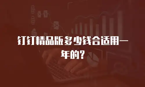 钉钉精品版多少钱合适用一年的？