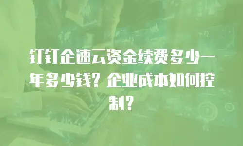 钉钉企速云资金续费多少一年多少钱？企业成本如何控制？