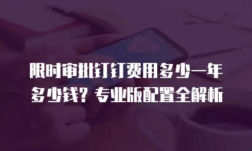 限时审批钉钉费用多少一年多少钱？专业版配置全解析