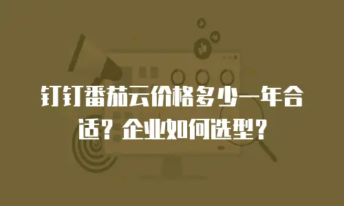 钉钉番茄云价格多少一年合适？企业如何选型？