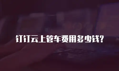 钉钉云上管车费用多少钱？