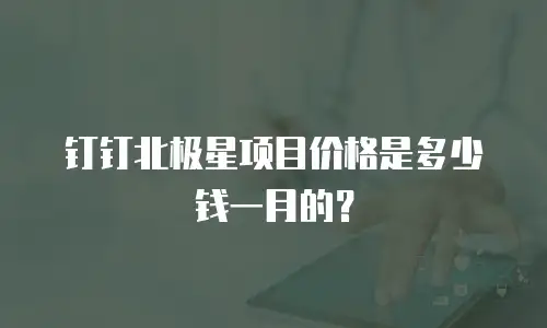 钉钉北极星项目价格是多少钱一月的？