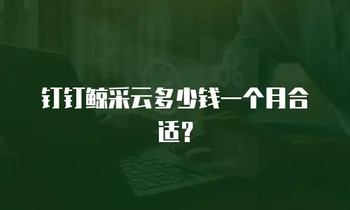 钉钉鲸采云多少钱一个月合适？