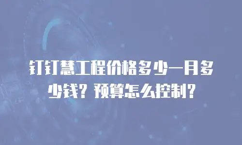 钉钉慧工程价格多少一月多少钱？预算怎么控制？