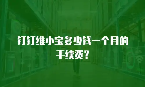 钉钉维小宝多少钱一个月的手续费？