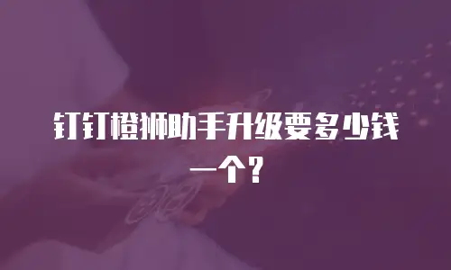 钉钉橙狮助手升级要多少钱一个？