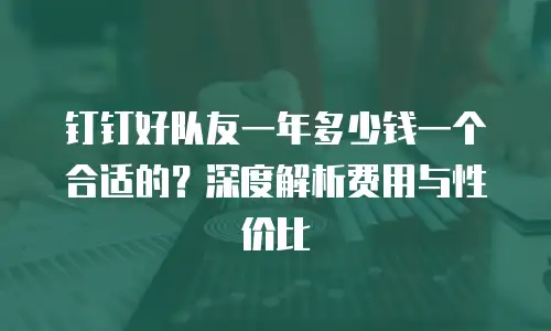 钉钉好队友一年多少钱一个合适的？深度解析费用与性价比