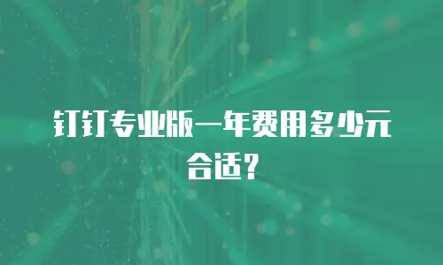 钉钉专业版一年费用多少元合适？