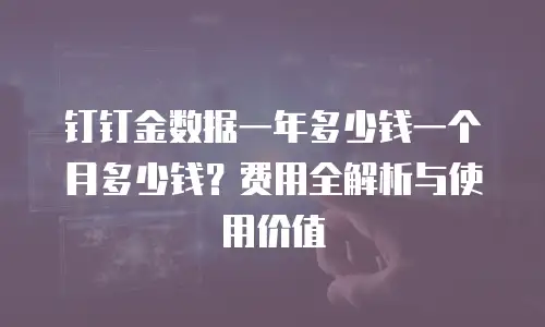 钉钉金数据一年多少钱一个月多少钱？费用全解析与使用价值