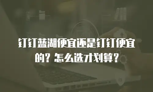 钉钉蓝湖便宜还是钉钉便宜的？怎么选才划算？
