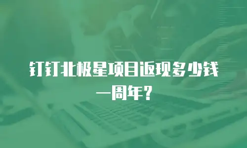 钉钉北极星项目返现多少钱一周年？
