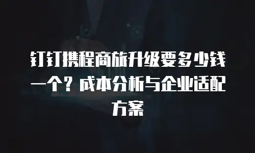 钉钉携程商旅升级要多少钱一个？成本分析与企业适配方案