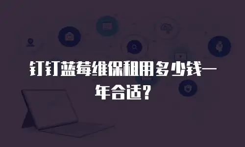 钉钉蓝莓维保租用多少钱一年合适？