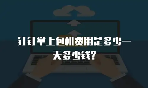 钉钉掌上包机费用是多少一天多少钱？