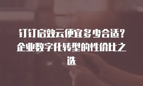 钉钉启效云便宜多少合适？企业数字化转型的性价比之选