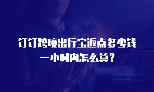 钉钉跨境出行宝返点多少钱一小时内怎么算？