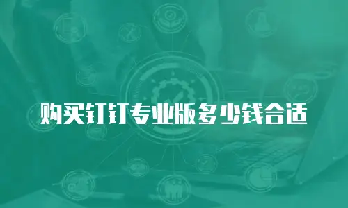 购买钉钉专业版多少钱合适