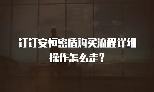 钉钉安恒密盾购买流程详细操作怎么走？
